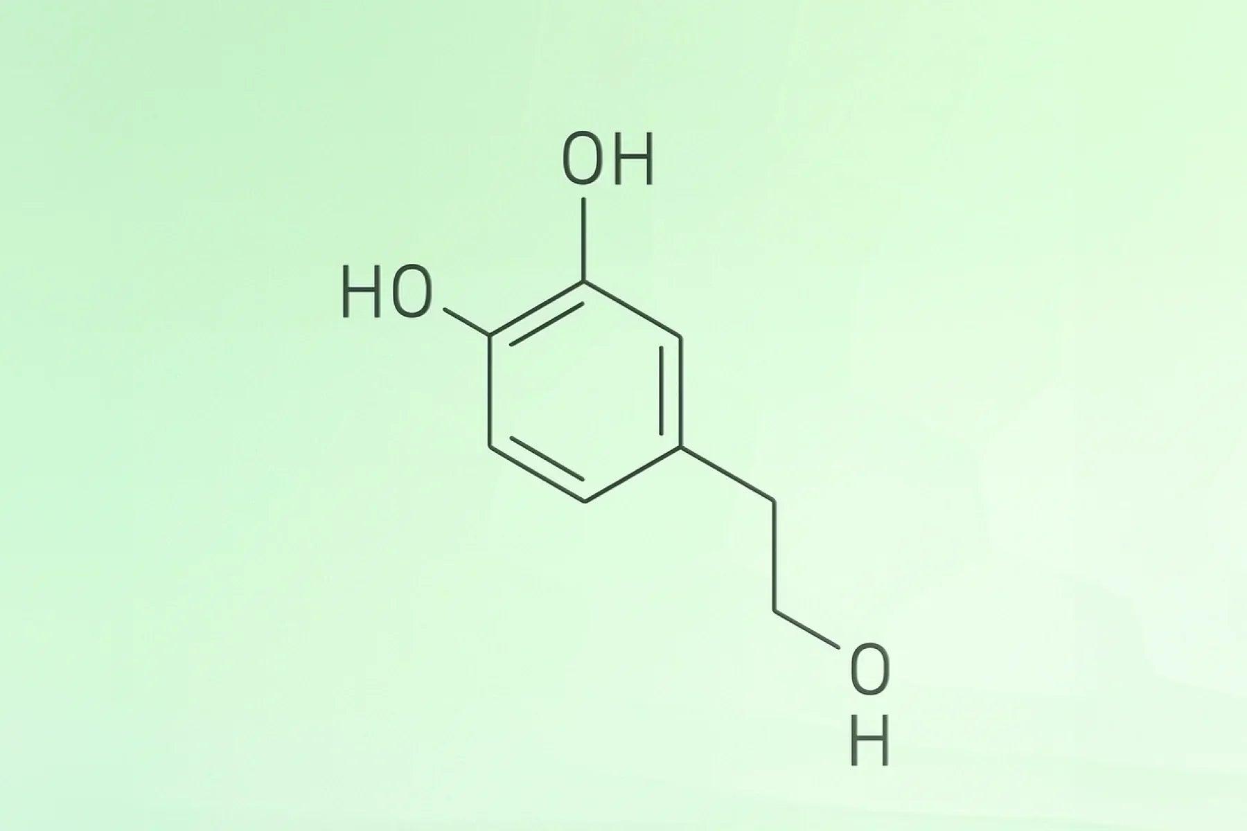 Meet Hydroxytyrosol: The Olive Leaf Polyphenol 15× More Potent Than Green Tea Extract
