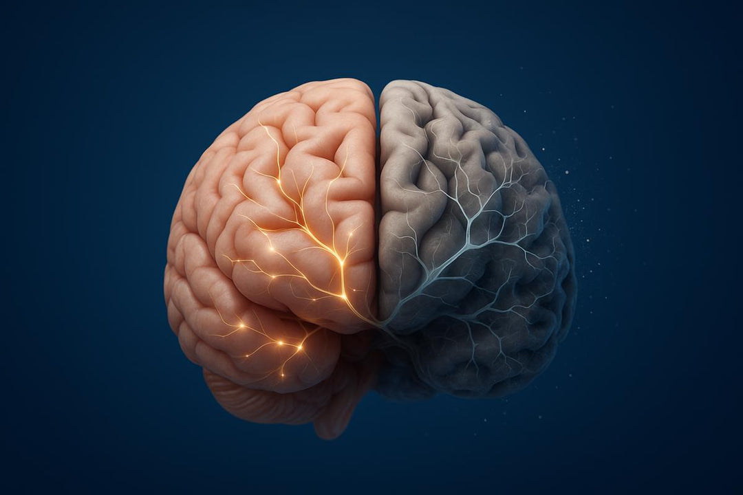 Whatever You Do, Don't Forget Your Tablespoon: Olive Oil and Dementia