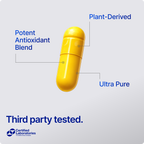 Turmeric Active