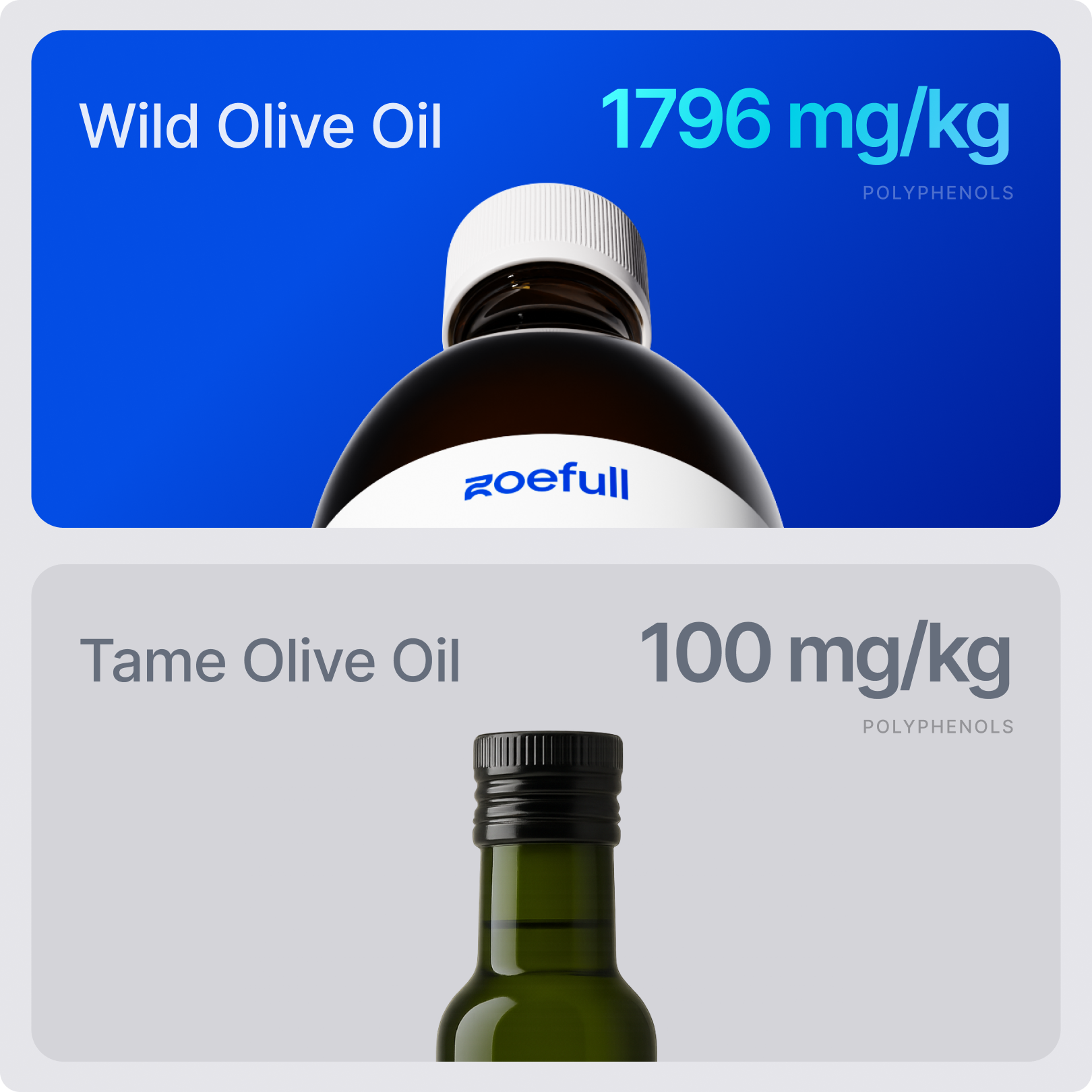 Wild Olive Oil