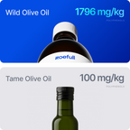 Polyphenols+