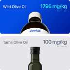 Wild Olive Oil