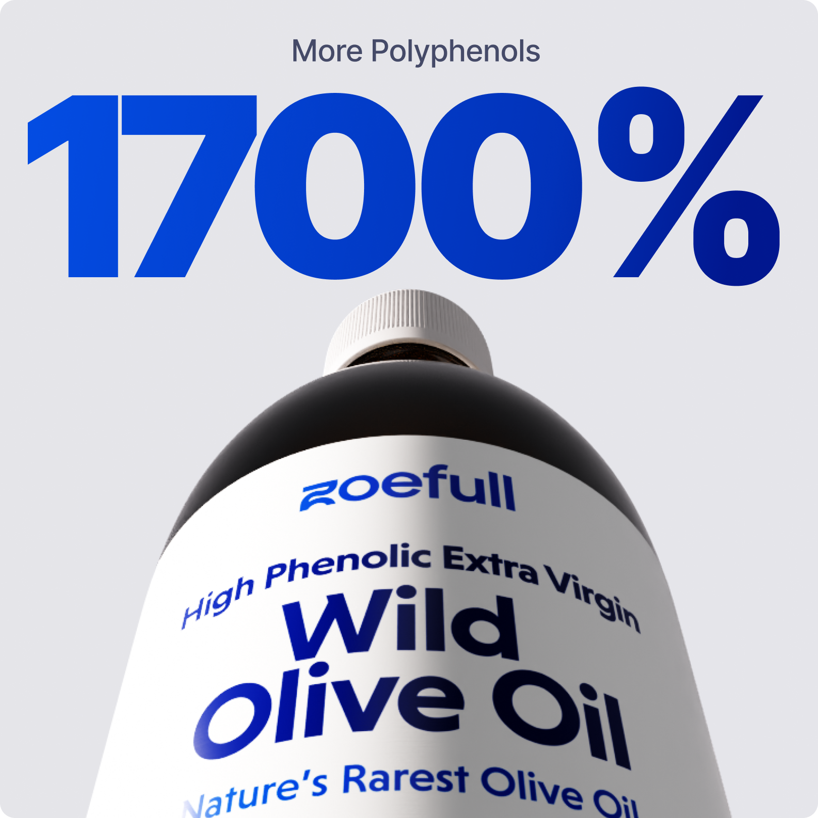 Wild Olive Oil