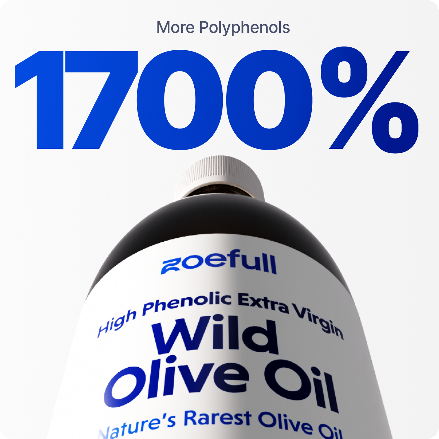 Wild Olive Oil