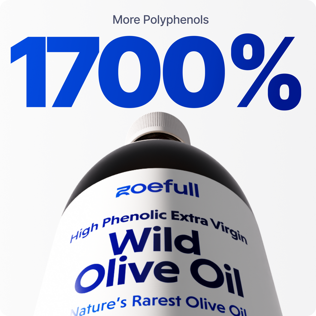 Wild Olive Oil